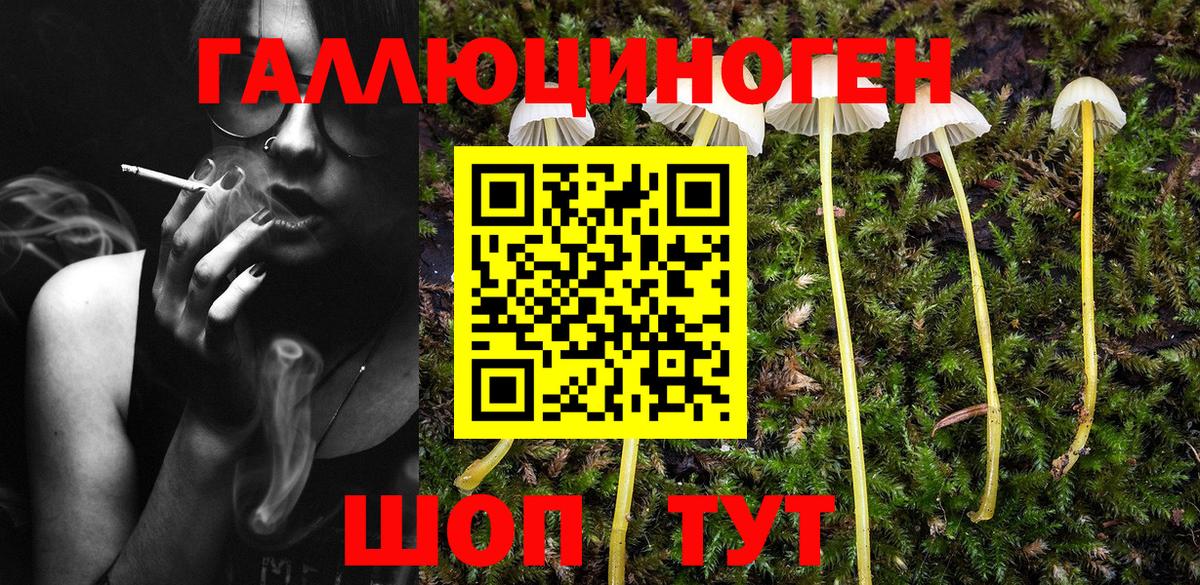 Псилоцибиновые грибы мухоморы  Вход с VPN  Пугачёв 