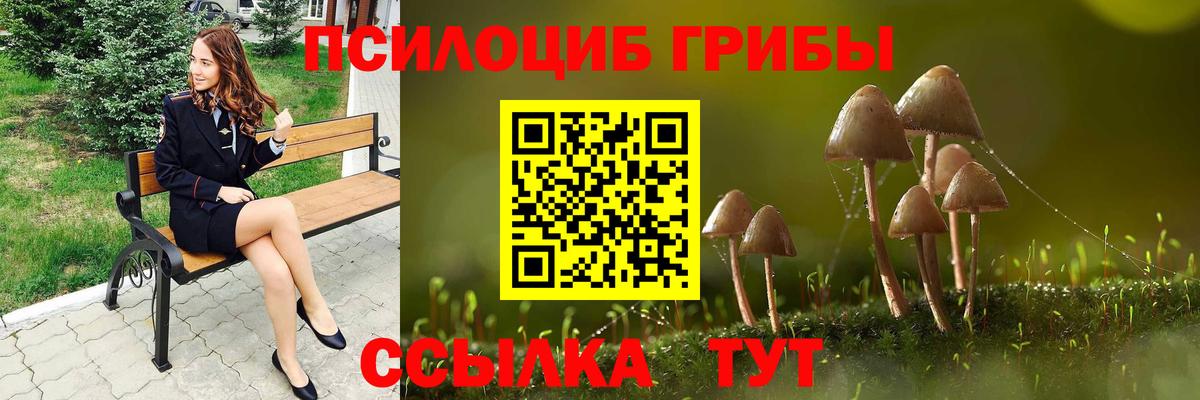 Псилоцибиновые грибы Magic Shrooms Пугачёв