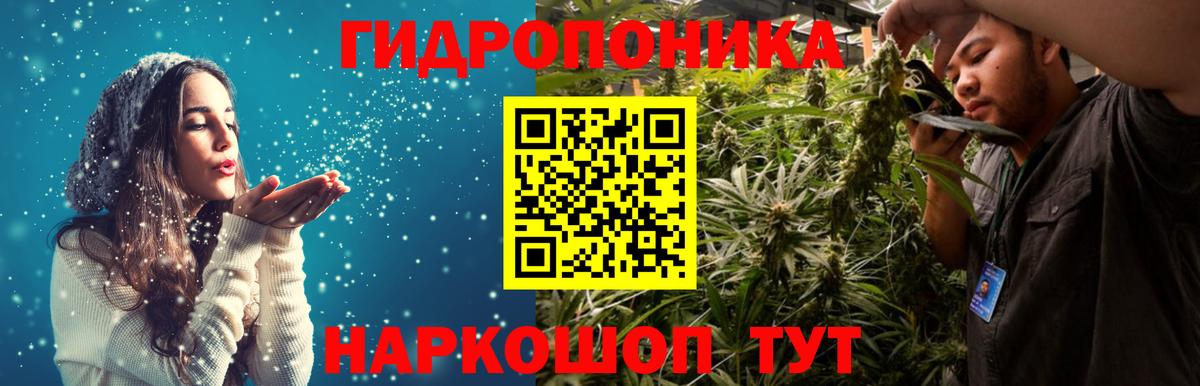 Марихуана конопля Пугачёв